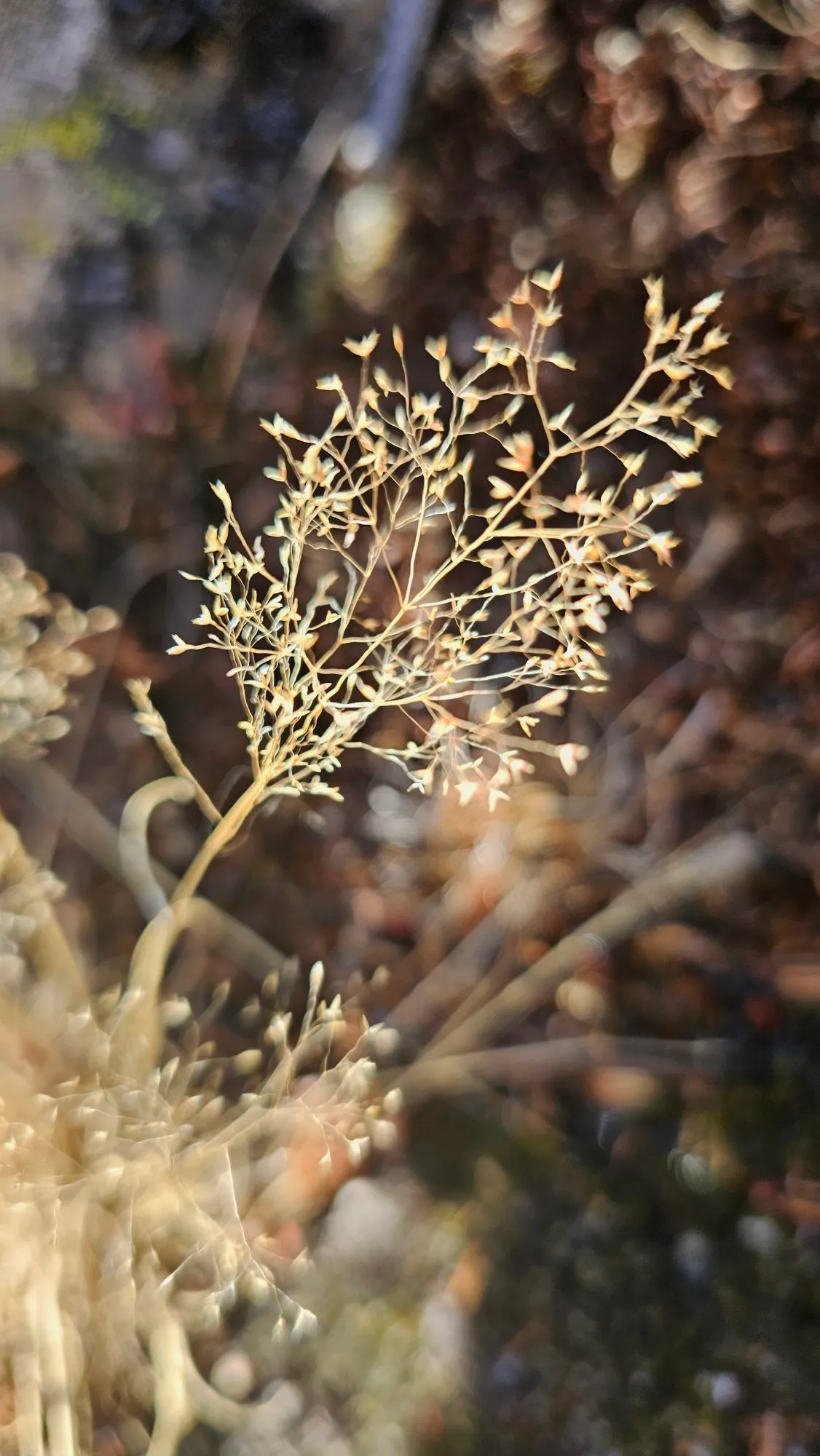 Photographie du voyage