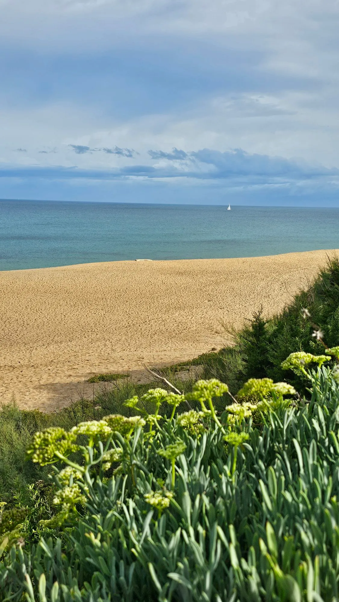 Photographie du voyage