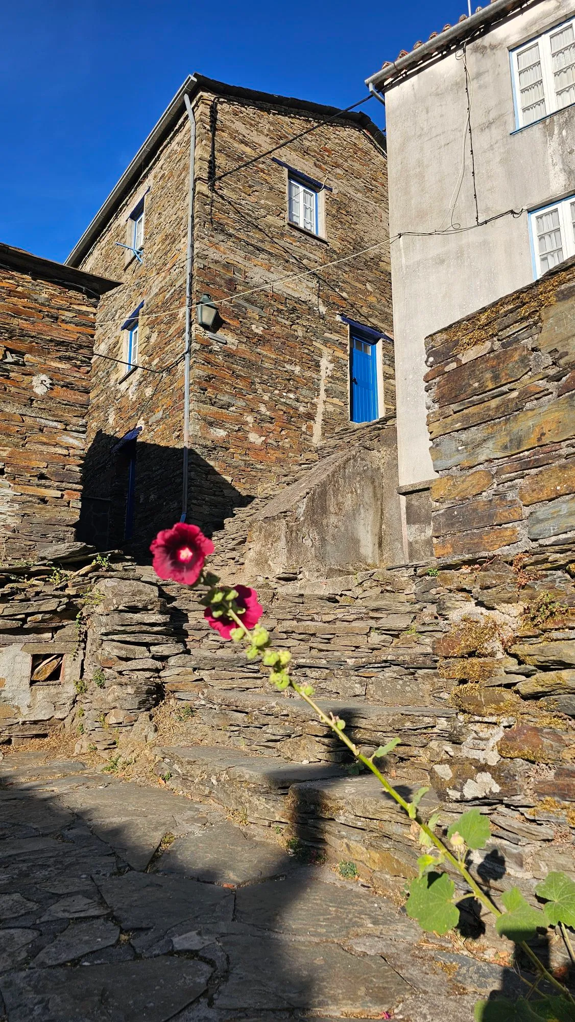 Photographie du voyage