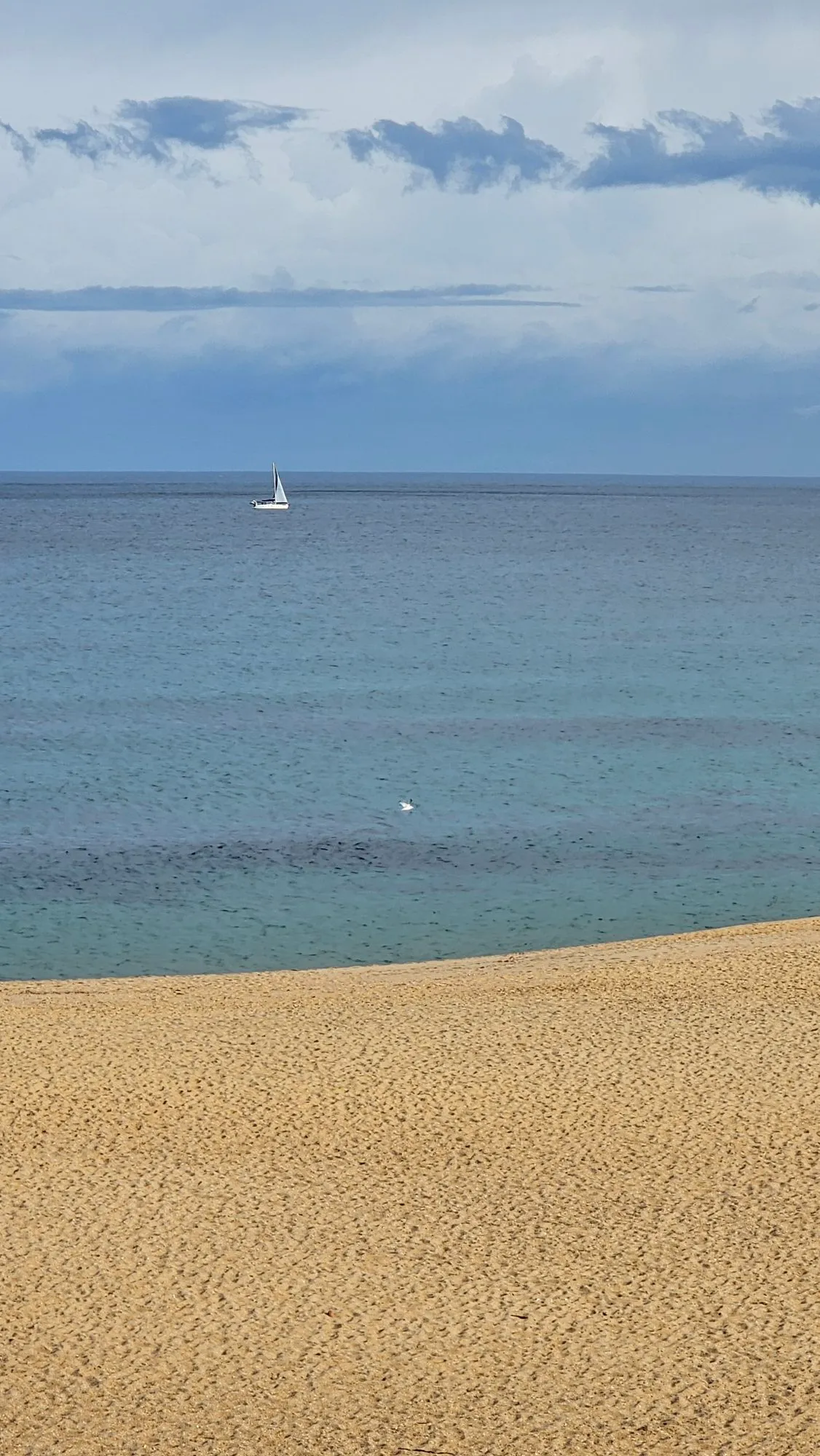 Photographie du voyage
