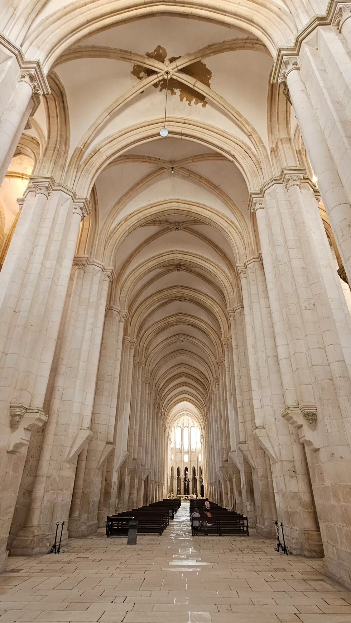 Photographie du voyage
